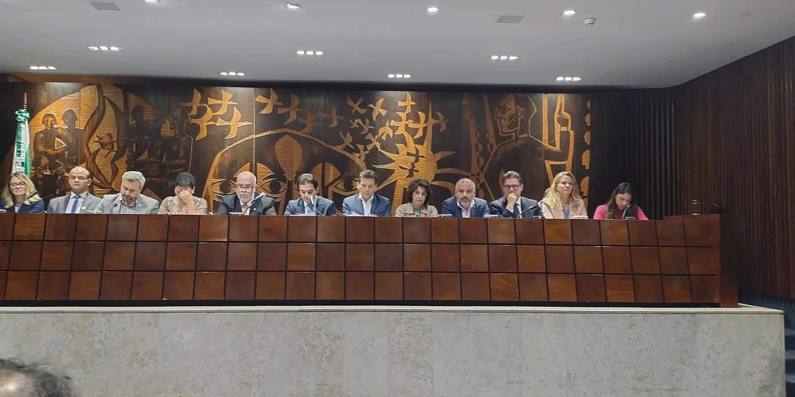 Audiência Pública na ALEPR debate perigos do metanol e combate à adulteração de bebidas.